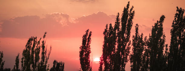 Landscape with dramatic light - beautiful golden sunset with saturated sky and clouds, peaceful nature serene background.