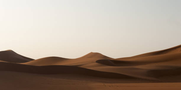 istock Dunes in the Sahara Desert 947041772