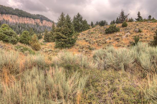 istock Rugged Country in Rural Wyoming during Summer 947042630