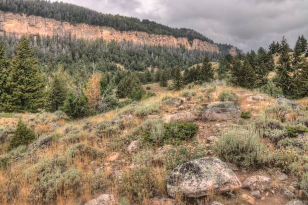 istock Rugged Country in Rural Wyoming during Summer 947042666