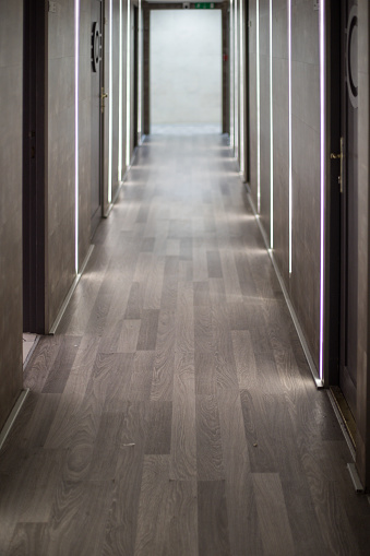 Modern hallway with wood floors and lights