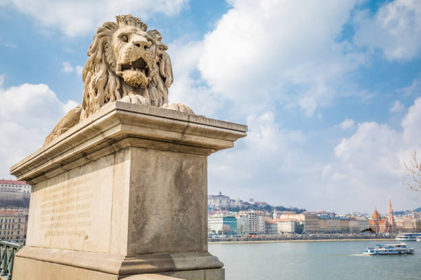 ブダペスト鎖橋のライオン像 - chain bridge budapest bridge lion ストックフォトと画像