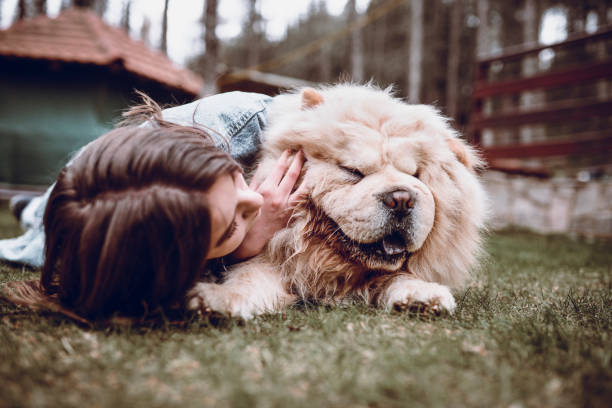 istock Young Female Hugging her Chow Chow Dog on a Mountain Picnic 947051370