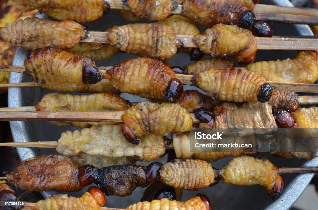 Amazonian Grubs Grilled And Served As A Street Food In Iquitos Peru ...