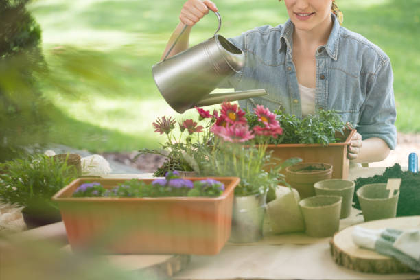 istock Woman watering plants 947055742
