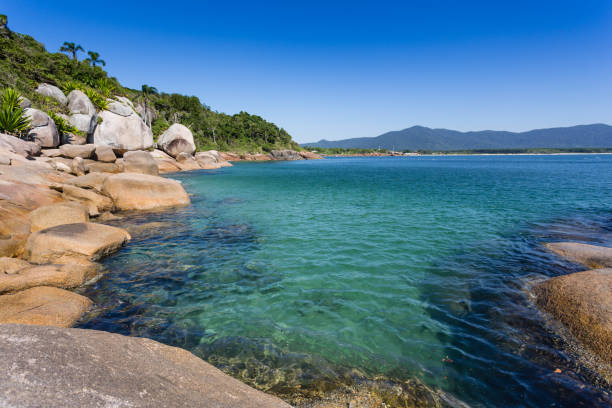 Beach in Florianópolis Pictures of a beautiful place called "Piscinas da Barra da Lagoa". In a beautiful day with a blue sky and a crystalline water. santa catarina brazil stock pictures, royalty-free photos & images