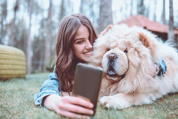 若い女性を作る selfie 公園でチャウチャウ犬と - chow domestic animals animal beautiful ストックフォトと画像