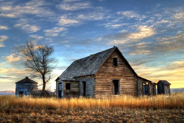 Old Idaho Farm House One of the cool things about Idaho is all the old farm houses that are still around today. This old homestead was just getting the day's first light as a passing storm was leaving the valley. idaho photos stock pictures, royalty-free photos & images