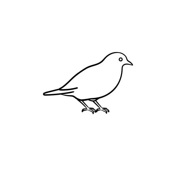 Vector illustration of Bird hand drawn sketch icon
