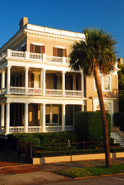 porch and palmetto, charleston, carolina del sud - day vertical palmetto south carolina foto e immagini stock