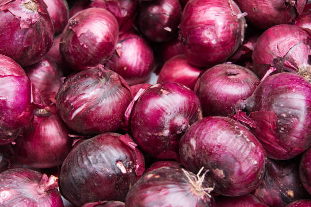 красный лук - spanish onion стоковые фото и изображения