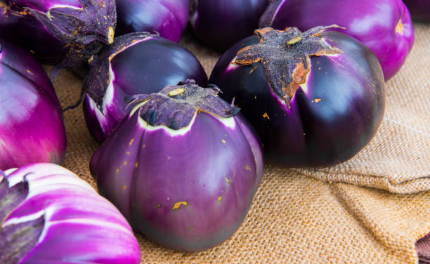 berinjelas em serapilheira - eggplant farmers market purple agricultural fair - fotografias e filmes do acervo