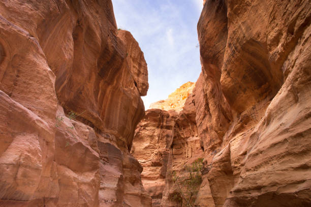 istock Al Siq Walls at Petra Jordan 947082202