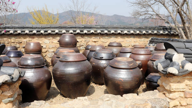 pots à épices d’une maison traditionnelle coréenne. - crock pot photos et images de collection