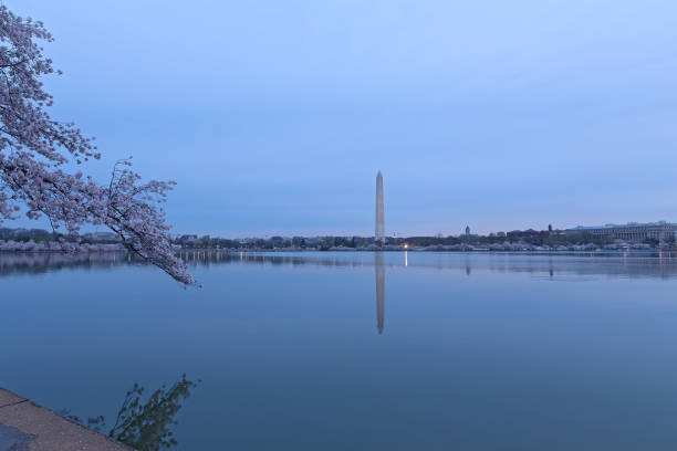 istock Washington DC panorama around Tidal Basin at sunrise during cherry blossom. 947096428