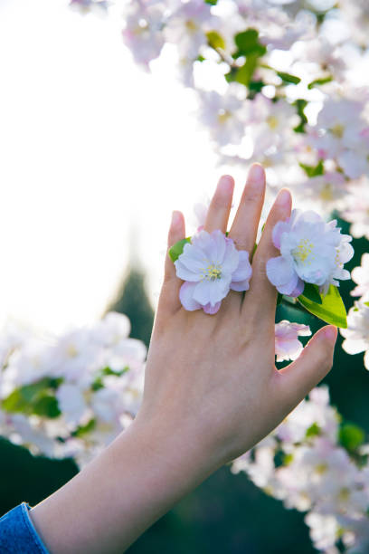 Woman hand touching flowers