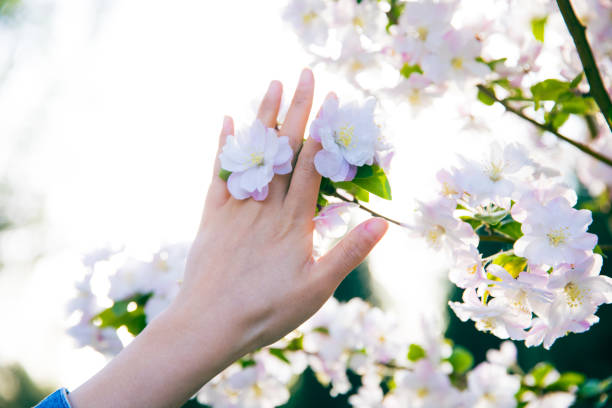 Woman hand touching flowers