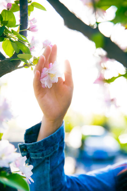 istock Woman hand touching flowers 947102244