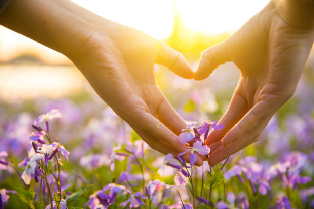 istock Couples hands forming heart shape with flowers 947102368