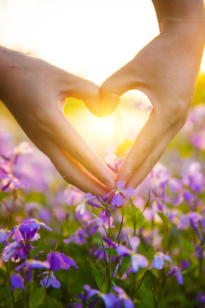 istock Couples hands forming heart shape with flowers 947102408