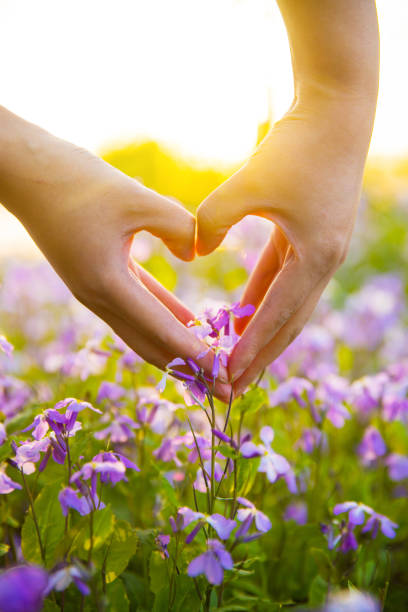 istock Couples hands forming heart shape with flowers 947102434