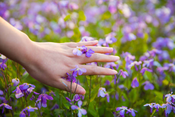 Woman hand touching spring flowers