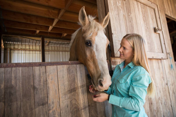 istock Horse and Rider at the Stables 947106358