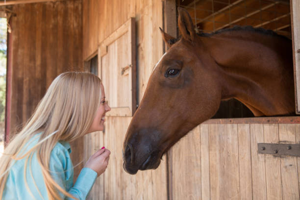 istock Horse and Rider Relationship 947106374
