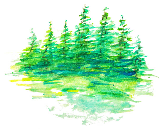 istock abstract watercolor forest landscape, reflection of green trees in water at sunrise, hand drawn illustration, nature background 947107350
