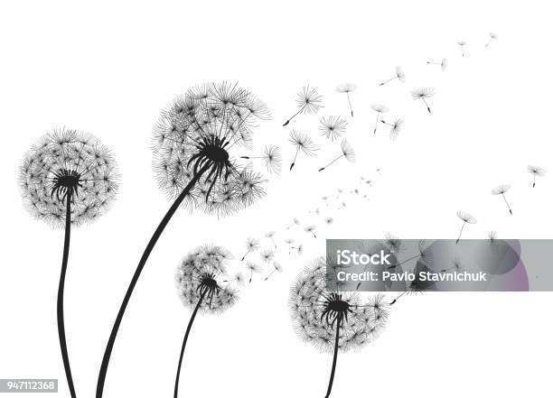 Abstract Dandelions Dandelion With Flying Seeds Vector Stock Illustration - Download Image Now