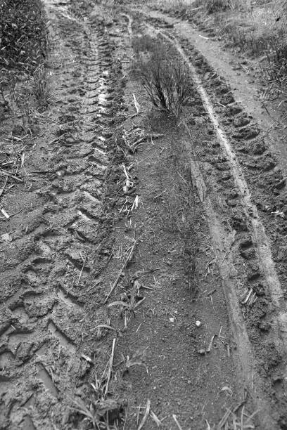 Muddy rut from truck tires in grass field.
