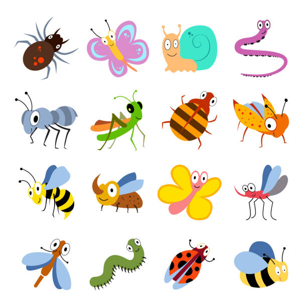 Cute and funny bugs, insects vector collection. Cartoon insects set Cute and funny bugs, insects vector collection. Cartoon insects set. Illustration of insect grasshopper and caterpillar, ant and dragonfly computer bug stock illustrations