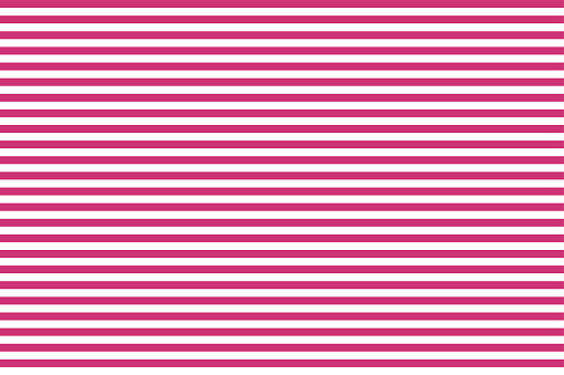 Pattern stripe seamless pink yarrow and white colors. Horizontal pattern stripe abstract background vector.