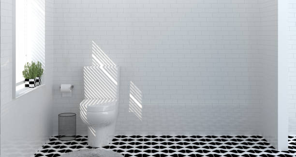 Toilet paper rolls as icons and funny uses