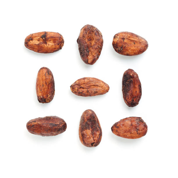 istock Raw cacao bean and chocolate piece isolated white 947124888
