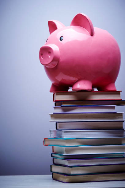 istock Piggy bank 947127238