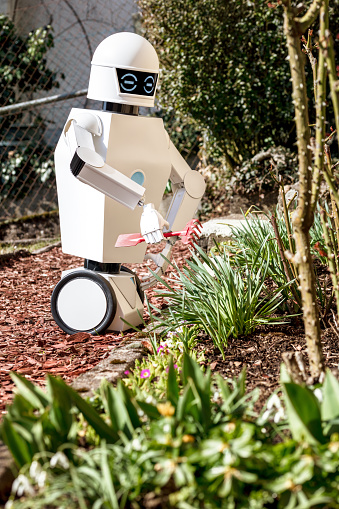 Service Robot Is Gardening A Garden Tool By Sunlight Stock Photo - Download Image Now -