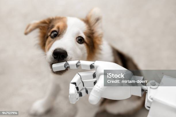 Cyborg Or Robot Hand Is Holding His Finger To A Puppy Sitting On The Floor Concept Cybernetic Or Robotic Stock Photo - Download Image Now