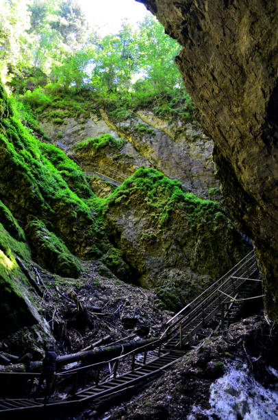 istock Scarisoara cave from Apuseni Mountains 947132764
