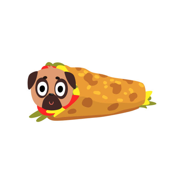 istock Cute pug dog wrapped in a taco roll, funny dog character inside fast food product vector Illustration on a white background 947133540