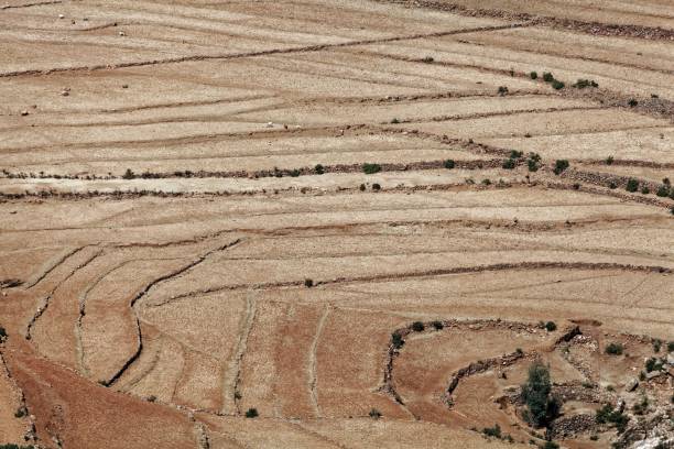 istock Dry fields in East Africa 947140518