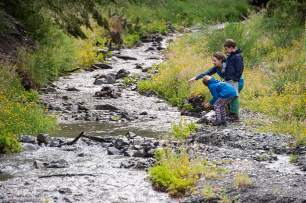 Mother guiding her children across a river in a National Park. Wet weather clothing, with backpacks.