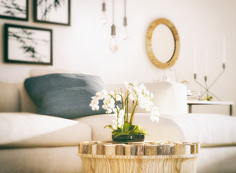 Picture of white orchid in cozy living room. Render image.