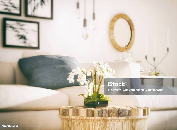 White Orchid In Living Room Stock Photo - Download Image Now - Orchid, Domestic Life, Home Interior