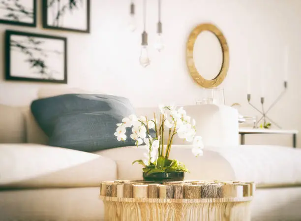 Photo of White Orchid in living room