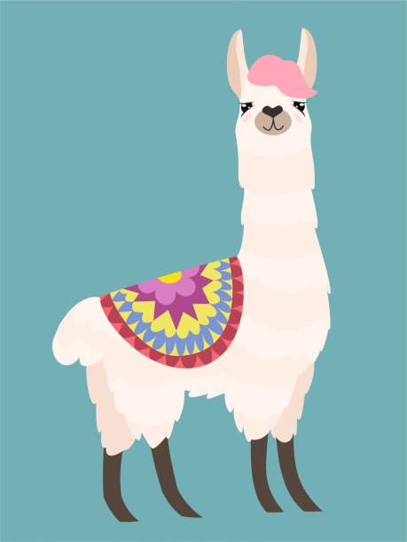 Stylish Cartoon Lama With Ornament Design Vector Illustration Stock  Illustration - Download Image Now - iStock