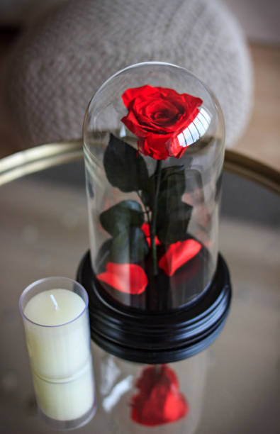 istock Red rose in a flask. Long-lasting rose 947156800