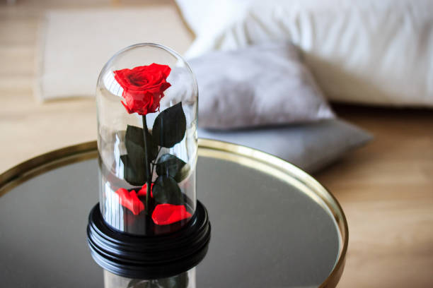 istock Red rose in a flask. Long-lasting rose 947157004