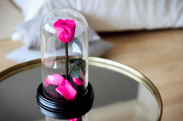 istock Pink rose in a flask. Long-lasting rose 947157672