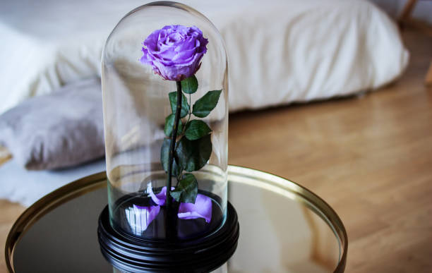 istock Rose in a flask. Long-lasting ros 947160298